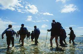 Morecambe Bay Walks